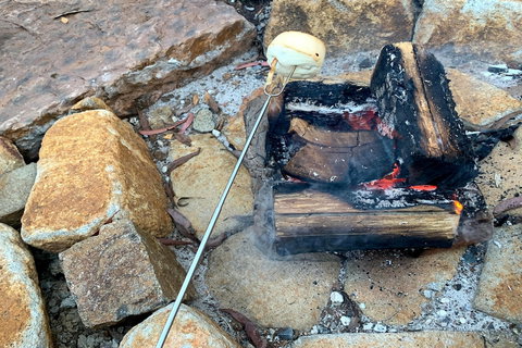 Forest Edge Cottage At Merrow Cottages - Accommodation Sunshine Coast 4