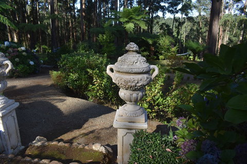 Forest Edge Cottage At Merrow Cottages - Accommodation Sunshine Coast 2