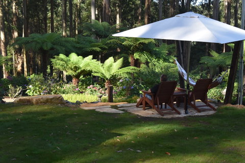 Forest Edge Cottage At Merrow Cottages - Accommodation Sunshine Coast 5