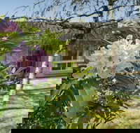 Wentworth Rose - Accommodation Sunshine Coast