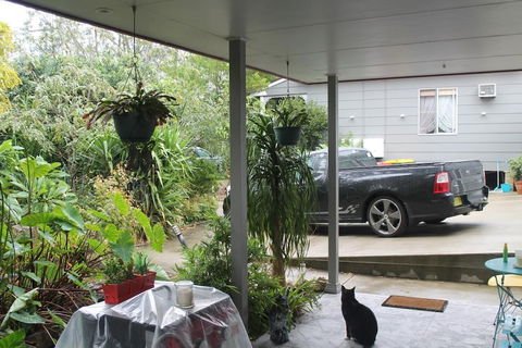 Ducati's Bed And Breakfast - Accommodation Sunshine Coast 6