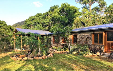 Palm Grove Rainforest Retreat - Accommodation Sunshine Coast 1