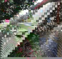 The Glen Family House - Accommodation Sunshine Coast