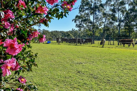 Curra Homestead Maleny - Accommodation Sunshine Coast 1
