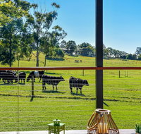 Curra Homestead Maleny - Accommodation Sunshine Coast