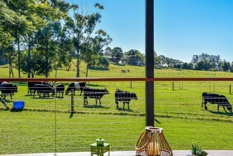 Curra Homestead Maleny - Accommodation Sunshine Coast 0