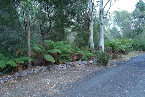 Roland B&B - Accommodation Sunshine Coast 4