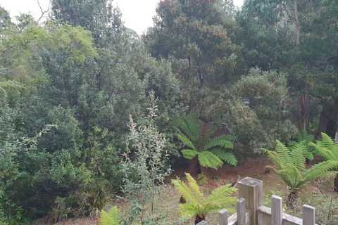 Roland B&B - Accommodation Sunshine Coast 1
