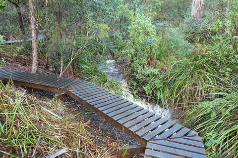 Roland B&B - Accommodation Sunshine Coast 6