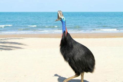 Kirrama 3 - Accommodation Sunshine Coast 4