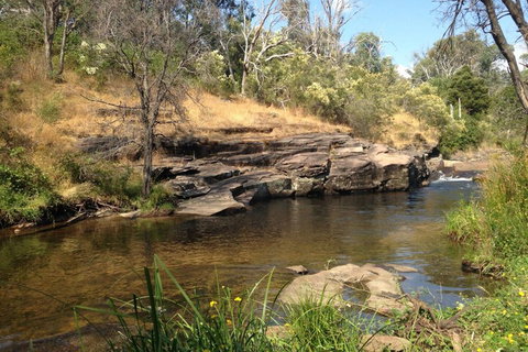 Eagles Nest - Accommodation Sunshine Coast 3
