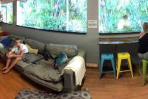 Mission Beach Retreat - Accommodation Sunshine Coast 3