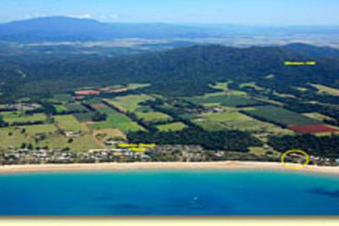 Endless Summer - Accommodation Sunshine Coast 4