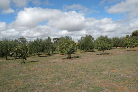 Thalia Getaway Villa - Accommodation Sunshine Coast 2