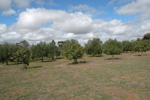 Thalia Getaway Villa - Accommodation Sunshine Coast 3