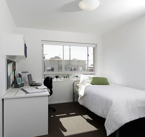 Unilodge At UC Short Stays - Accommodation Sunshine Coast 4