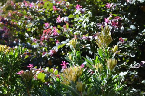 A Bach At Bright Bright VIC - Accommodation Sunshine Coast 4