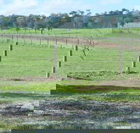 Yea Woodduck Cottage - Accommodation Sunshine Coast