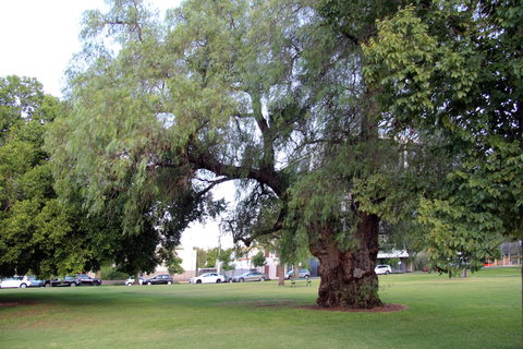 Adelaide Central Apartment - 3BR, 2Bath & Carpark - Accommodation Sunshine Coast 3