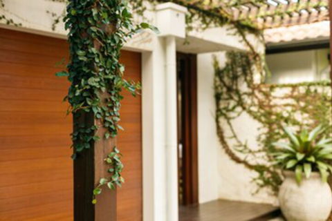 ESPRIT 2 PALM COVE BRAND NEW - Accommodation Sunshine Coast 0