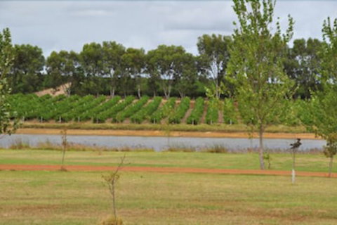 Bettenay Loft Spa Apartment & Lakeview Chalets - Accommodation Sunshine Coast 5
