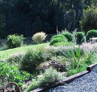 Love Grove Guest House - Accommodation Sunshine Coast