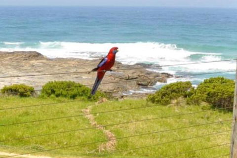 14 Steps - Accommodation Sunshine Coast 5