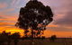 Melbourne Garden Bed & Breakfast - thumb 1