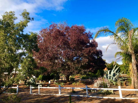 Melbourne Garden Bed & Breakfast - Accommodation Sunshine Coast 5