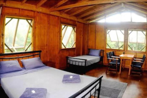 Daintree Rainforest Bungalows - Accommodation Sunshine Coast 5