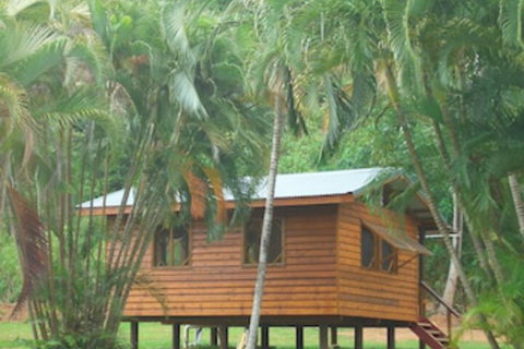 Daintree Rainforest Bungalows - Accommodation Sunshine Coast 0