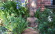 Ellensbrook Cottages - thumb 4