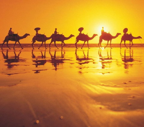 Mantra Frangipani Broome - Accommodation Sunshine Coast 1