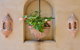 Villa San Michele - thumb 3