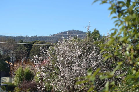 Mulberry Cottage B&B - Accommodation Sunshine Coast 5