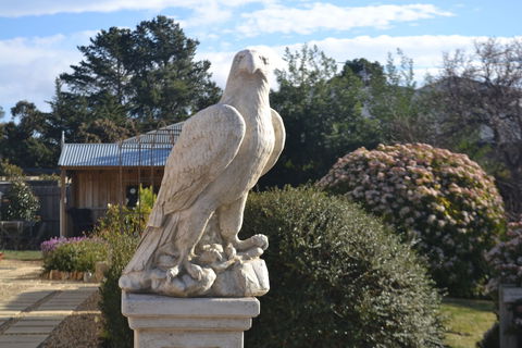 Mulberry Cottage B&B - Accommodation Sunshine Coast 4