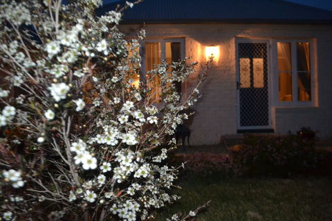 Mulberry Cottage B&B - Accommodation Sunshine Coast 6