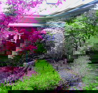 Valley of the Waters BB - Accommodation Sunshine Coast