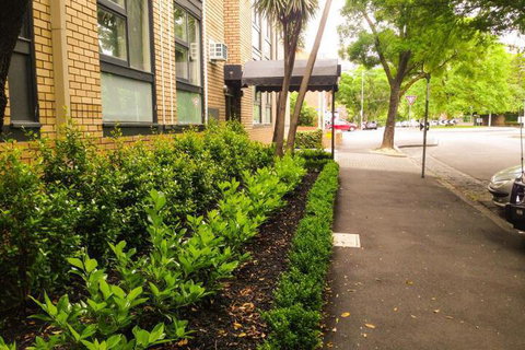 George Powlett Apartments - Accommodation Sunshine Coast 4