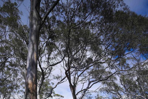 Rocky Hills Retreat - Accommodation Sunshine Coast 7