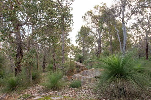 A Hidden Bush Delight - Accommodation Sunshine Coast 6