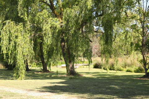 Little Lake Cottage - Accommodation Sunshine Coast 1