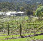 Eureka Farm - Accommodation Sunshine Coast
