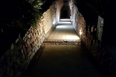 Zen Underground B & B - Accommodation Sunshine Coast 2