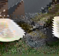 William Hunts Retreat Cypress Studio - Accommodation Sunshine Coast