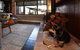 Millfield Eco Lodge With Views & Inside / Outside Hangouts - thumb 0