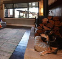 Millfield Eco Lodge with views  inside / outside hangouts - Accommodation Sunshine Coast