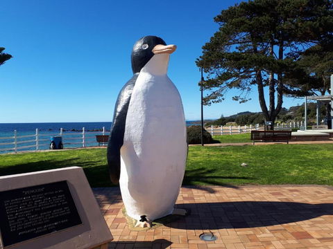 Robins Nest B & B - Accommodation Sunshine Coast 4