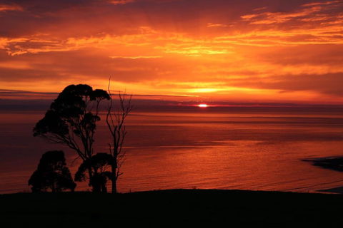 Penguin Seaside Farm - Accommodation Sunshine Coast 2