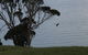 Penguin Seaside Farm - thumb 6